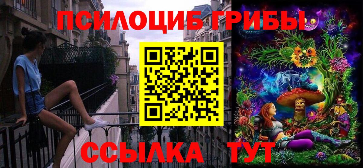 Чебаркуль  Галлюциногенные грибы Psilocybe  Вход с VPN 