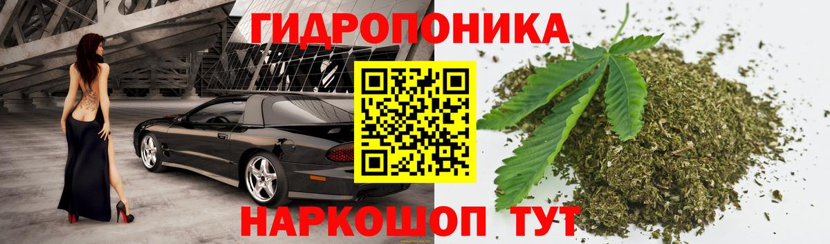 Шишки марихуана планчик Чебаркуль